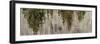 USA, Utah. Reflections on Warner Lake, Manti-La Sal National Forest.-Judith Zimmerman-Framed Photographic Print