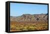 USA, Utah. San Juan River Valley colorful ridges-Bernard Friel-Framed Stretched Canvas