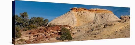 USA, Utah. Sandstone formation and cross-bedded layers, Canyonlands NP, Island in the Sky.-Judith Zimmerman-Stretched Canvas
