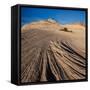 USA, Utah. Sandstone formation and cross-bedded layers, Canyonlands NP, Island in the Sky.-Judith Zimmerman-Framed Stretched Canvas