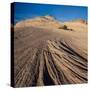 USA, Utah. Sandstone formation and cross-bedded layers, Canyonlands NP, Island in the Sky.-Judith Zimmerman-Stretched Canvas