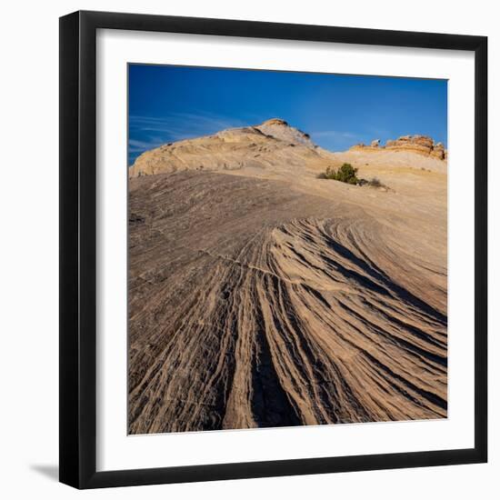 USA, Utah. Sandstone formation and cross-bedded layers, Canyonlands NP, Island in the Sky.-Judith Zimmerman-Framed Photographic Print