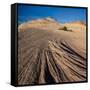 USA, Utah. Sandstone formation and cross-bedded layers, Canyonlands NP, Island in the Sky.-Judith Zimmerman-Framed Stretched Canvas