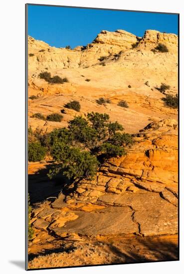 USA, Utah. Sandstone formation and cross-bedded layers, Canyonlands NP, Island in the Sky.-Judith Zimmerman-Mounted Photographic Print