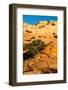 USA, Utah. Sandstone formation and cross-bedded layers, Canyonlands NP, Island in the Sky.-Judith Zimmerman-Framed Photographic Print