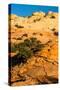 USA, Utah. Sandstone formation and cross-bedded layers, Canyonlands NP, Island in the Sky.-Judith Zimmerman-Stretched Canvas