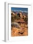 USA, Utah. Sandstone formations in Sand Flats Recreation Area with La Sal Mountain Range, near Moab-Judith Zimmerman-Framed Photographic Print