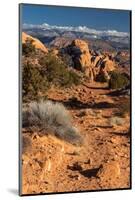 USA, Utah. Sandstone formations in Sand Flats Recreation Area with La Sal Mountain Range, near Moab-Judith Zimmerman-Mounted Photographic Print