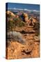USA, Utah. Sandstone formations in Sand Flats Recreation Area with La Sal Mountain Range, near Moab-Judith Zimmerman-Stretched Canvas