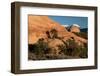 USA, Utah. Sandstone geological formations, Sand Flats Recreation Area, near Moab.-Judith Zimmerman-Framed Photographic Print