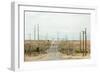 USA, Utah, Street, Power Poles-Catharina Lux-Framed Photographic Print