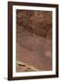 USA, Utah. Thunderbird petroglyph panel, Bears Ears National Monument-Judith Zimmerman-Framed Photographic Print