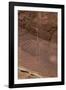 USA, Utah. Thunderbird petroglyph panel, Bears Ears National Monument-Judith Zimmerman-Framed Photographic Print