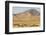 USA, Utah, Tooele County. Wild horse herd grazing.-Jaynes Gallery-Framed Photographic Print