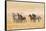USA, Utah, Tooele County. Wild horses alert.-Jaynes Gallery-Framed Stretched Canvas