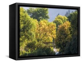 USA, Utah. Trail bridge across the Logan River along Logan Canyon in autumn.-Julie Eggers-Framed Stretched Canvas