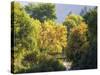 USA, Utah. Trail bridge across the Logan River along Logan Canyon in autumn.-Julie Eggers-Stretched Canvas