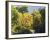 USA, Utah. Trail bridge across the Logan River along Logan Canyon in autumn.-Julie Eggers-Framed Photographic Print