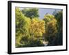 USA, Utah. Trail bridge across the Logan River along Logan Canyon in autumn.-Julie Eggers-Framed Photographic Print