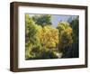 USA, Utah. Trail bridge across the Logan River along Logan Canyon in autumn.-Julie Eggers-Framed Photographic Print