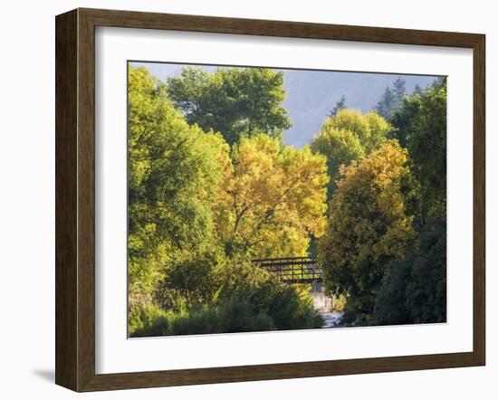 USA, Utah. Trail bridge across the Logan River along Logan Canyon in autumn.-Julie Eggers-Framed Photographic Print