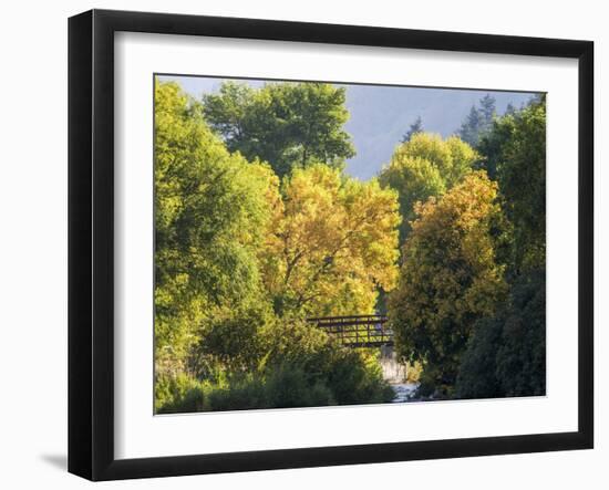 USA, Utah. Trail bridge across the Logan River along Logan Canyon in autumn.-Julie Eggers-Framed Photographic Print