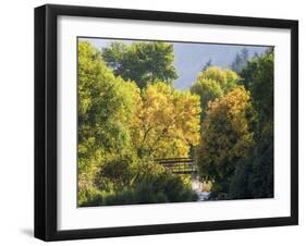 USA, Utah. Trail bridge across the Logan River along Logan Canyon in autumn.-Julie Eggers-Framed Photographic Print