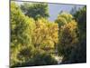 USA, Utah. Trail bridge across the Logan River along Logan Canyon in autumn.-Julie Eggers-Mounted Photographic Print