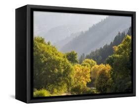 USA, Utah. Trail bridge across the Logan River along Logan Canyon in autumn.-Julie Eggers-Framed Stretched Canvas