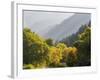 USA, Utah. Trail bridge across the Logan River along Logan Canyon in autumn.-Julie Eggers-Framed Photographic Print