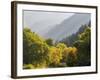 USA, Utah. Trail bridge across the Logan River along Logan Canyon in autumn.-Julie Eggers-Framed Photographic Print