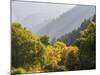 USA, Utah. Trail bridge across the Logan River along Logan Canyon in autumn.-Julie Eggers-Mounted Photographic Print