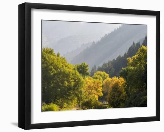 USA, Utah. Trail bridge across the Logan River along Logan Canyon in autumn.-Julie Eggers-Framed Photographic Print