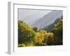 USA, Utah. Trail bridge across the Logan River along Logan Canyon in autumn.-Julie Eggers-Framed Photographic Print