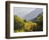 USA, Utah. Trail bridge across the Logan River along Logan Canyon in autumn.-Julie Eggers-Framed Photographic Print