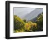 USA, Utah. Trail bridge across the Logan River along Logan Canyon in autumn.-Julie Eggers-Framed Photographic Print