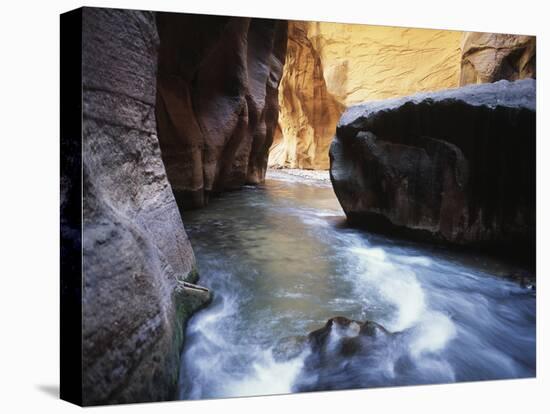 USA, Utah, View of Virgin River at Zion National Park-Zandria Muench Beraldo-Stretched Canvas