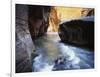 USA, Utah, View of Virgin River at Zion National Park-Zandria Muench Beraldo-Framed Photographic Print