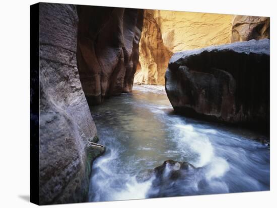 USA, Utah, View of Virgin River at Zion National Park-Zandria Muench Beraldo-Stretched Canvas