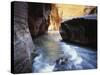 USA, Utah, View of Virgin River at Zion National Park-Zandria Muench Beraldo-Stretched Canvas