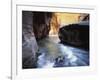 USA, Utah, View of Virgin River at Zion National Park-Zandria Muench Beraldo-Framed Photographic Print