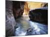 USA, Utah, View of Virgin River at Zion National Park-Zandria Muench Beraldo-Mounted Photographic Print