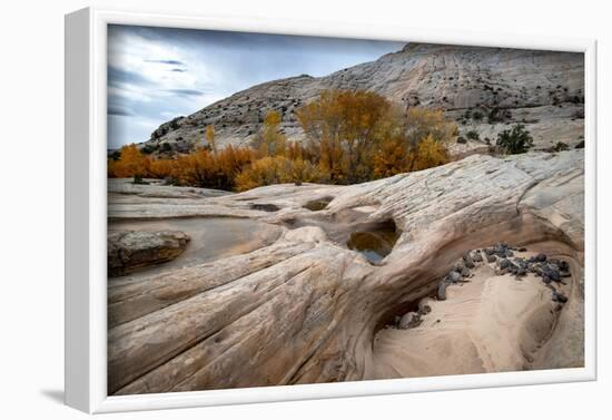 USA, Utah. Waterpockets and autumnal cottonwood trees, Grand Staircase-Escalante National Monument.-Judith Zimmerman-Framed Photographic Print