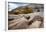 USA, Utah. Waterpockets and autumnal cottonwood trees, Grand Staircase-Escalante National Monument.-Judith Zimmerman-Framed Photographic Print