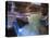 USA, Utah, Zion Canyon National Park, the Subway-Michele Falzone-Stretched Canvas