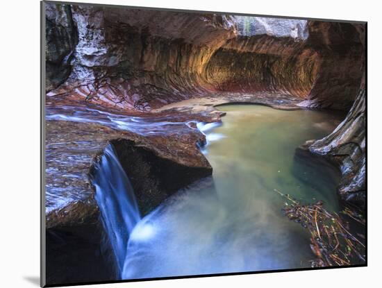 USA, Utah, Zion Canyon National Park, the Subway-Michele Falzone-Mounted Photographic Print