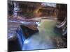 USA, Utah, Zion Canyon National Park, the Subway-Michele Falzone-Mounted Photographic Print