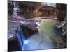 USA, Utah, Zion Canyon National Park, the Subway-Michele Falzone-Mounted Photographic Print