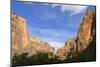 USA, Utah. Zion National Park, Canyon red cliffs-Jamie & Judy Wild-Mounted Photographic Print