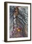 USA, Utah, Zion National Park. Canyon Wall Crevice with Fallen Leaves-Jaynes Gallery-Framed Photographic Print